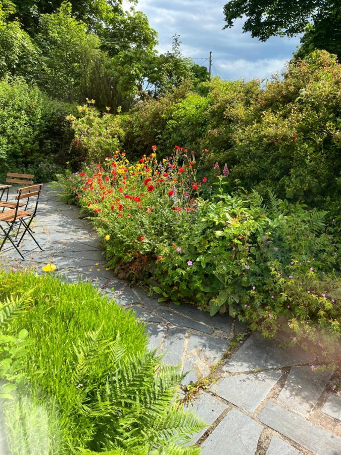 Beautiful Ancient Stone Cottage, Local Walks & Pub! Conwy Eksteriør billede